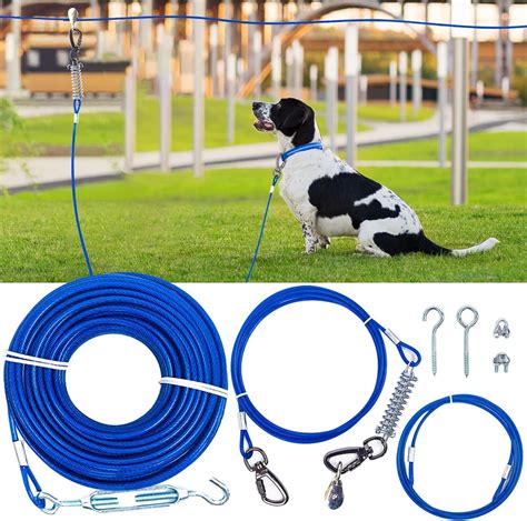 best dog tie out cable